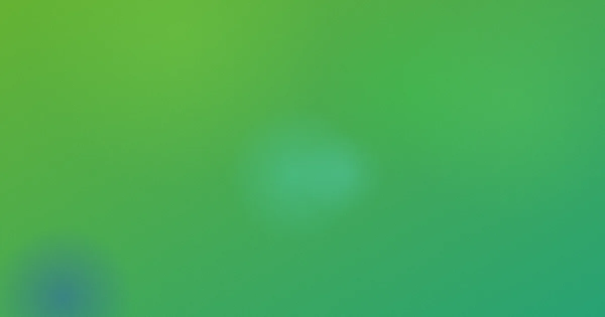 新版西游记测评：避坑实话